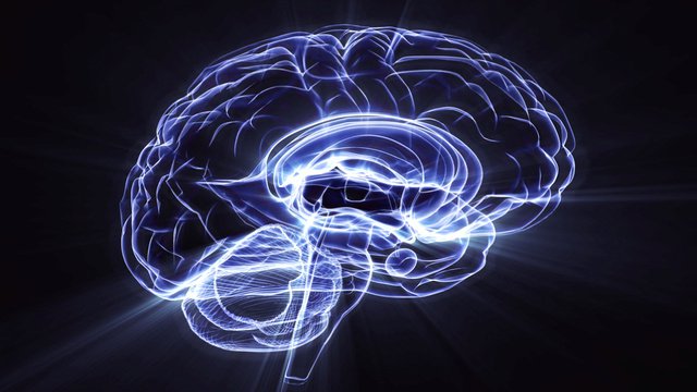 ¿Qué tipos de videojuegos mejoran la función del cerebro?