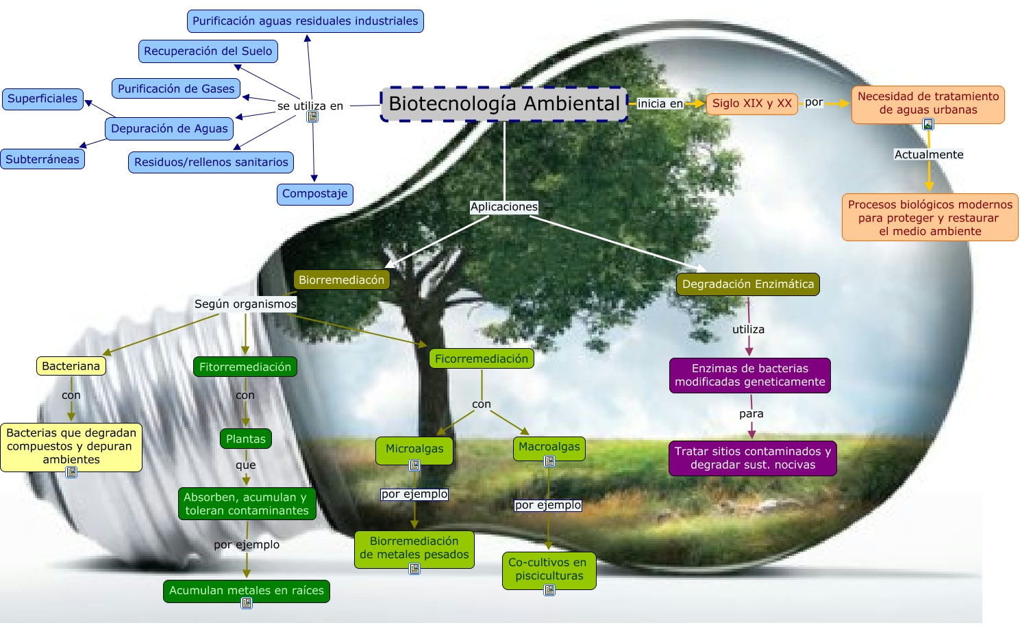 Biotecnologia ambiental