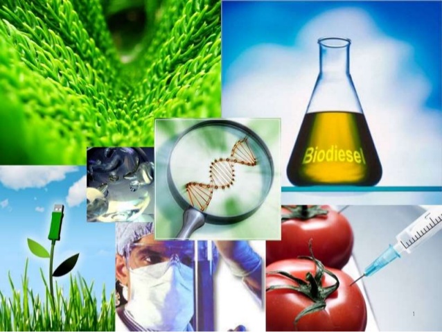 Biotecnologia ambiental2