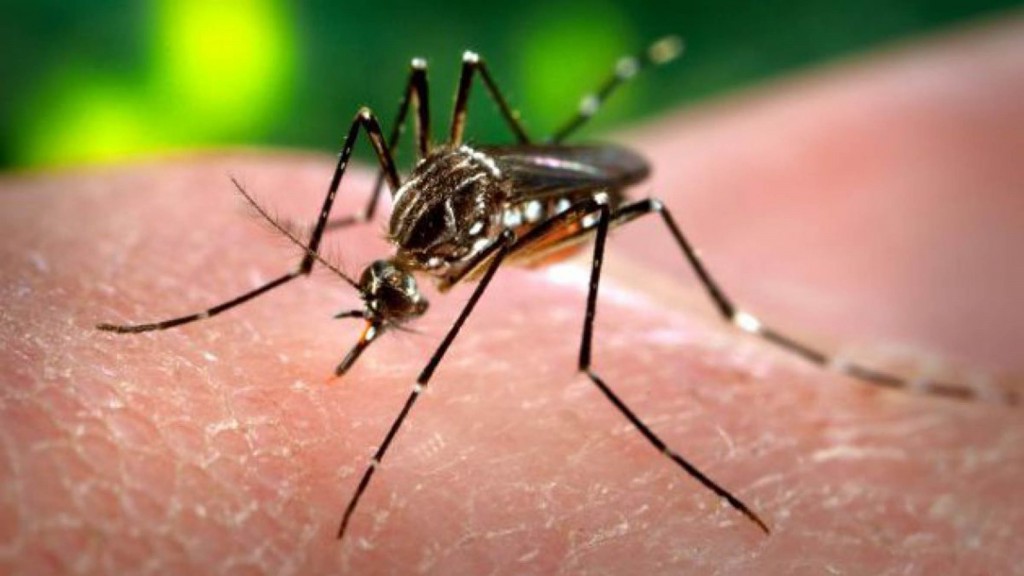 tecnopia-VIRUS-DEL-ZIKA