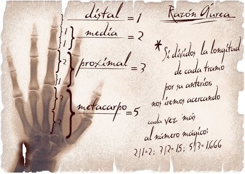TECNOPIA AUREO 9