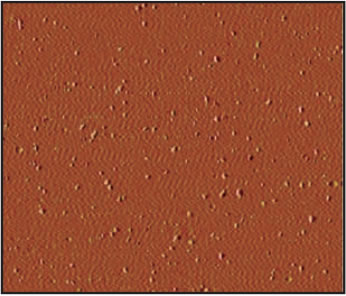 El recubrimiento de óxido de titanio con nanopartículas de oro y platino presenta mejores propiedades para su aplicación en prótesis