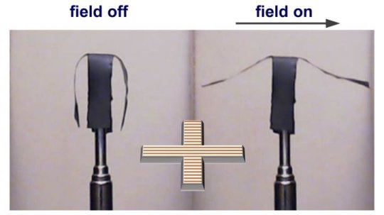 Cadenas de nanopartículas magnéticas ofrecen una nueva técnica para el control de robots blandos