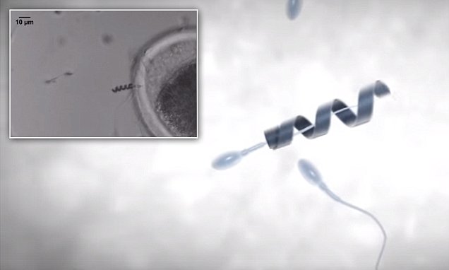 SPERMBOT – una nueva solución para la infertilidad