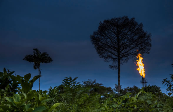 Una extracción petrolífera en plena selva del Amazonas. / Jaime Culebras