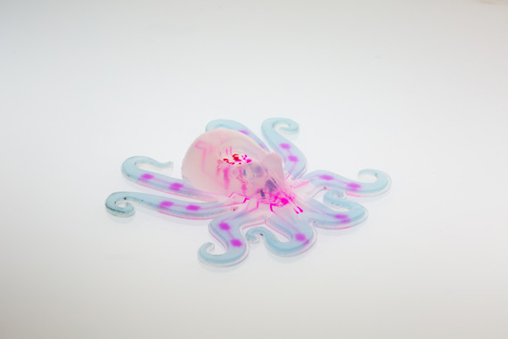 Otobot es un robot autónomo totalmente blando. Una red neumática (rosa) está incrustada dentro del cuerpo y los brazos accionadores hiperelásticos (azul claro). / Ryan Truby, Michael Wehner, y Lori Sanders /Universidad de Harvard