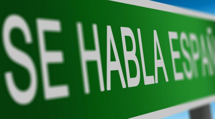 Emprendimiento, sustentabilidad y multiculturalidad: su importancia en nuestra sociedad