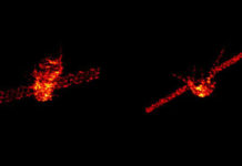 La estación espacial china Tiangong-1 se desintegra sobre el Pacífico