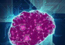 Un nuevo estudio respalda la conexión entre virus y alzhéimer
