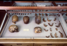 La compleja prehistoria genética de América