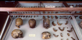 La compleja prehistoria genética de América