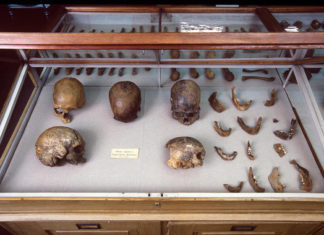 La compleja prehistoria genética de América