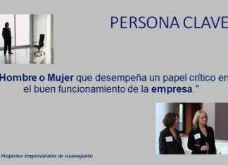APEG (Asesores en Proyectos Empresariales y de Gobierno)