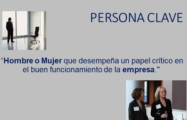 APEG (Asesores en Proyectos Empresariales y de Gobierno)