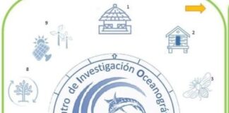 CENTRO DE INVESTIGACIÓN OCEANOGRÁFICA DEL PACÍFICO MEXICANO. CIOPM.