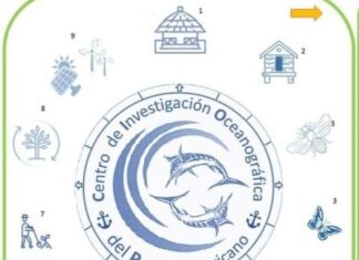 CENTRO DE INVESTIGACIÓN OCEANOGRÁFICA DEL PACÍFICO MEXICANO. CIOPM.