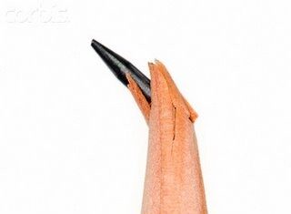 Cultura Ágrafa 5.0