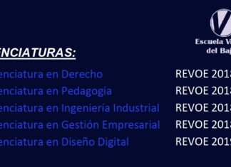 Aprovecha la beca del 50% para estudiar una carrera profesional en línea.