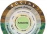 COTIDIANEIDAD, CONTEXTO Y SITIO DE VIDA: Escenarios para aprendizajes.