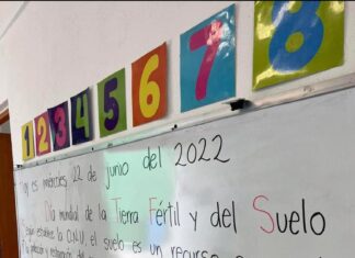 USO DE NUEVAS TECNOLOGÍAS PARA LA ENSEÑANZA BÁSICA DE NIÑOS EN ESCUELAS VULNERABLES.
