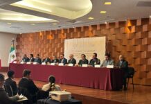 Reseña del VIII Encuentro Internacional RELACA-Espacio México 2023: “Fortaleciendo la integración latinoamericana desde el ámbito espacial”.