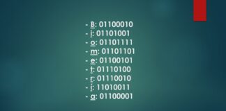 La Biometría y el ser humano.