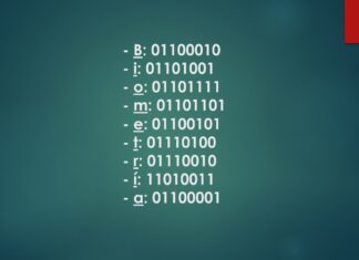La Biometría y el ser humano.