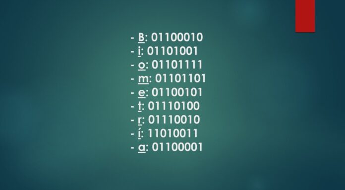 La Biometría y el ser humano.