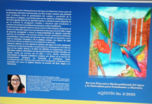 INVITACIÓN A COLABORAR