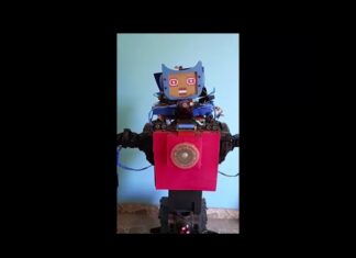 Los creadores independientes de robótica e I.A. en el mundo.