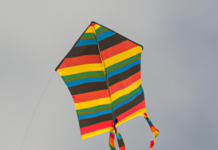 La Física oculta en el vuelo de un Papalote, Cometa o Barrilete.