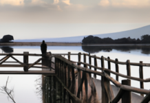 Un momento para reflexionar…