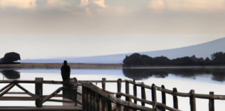 Un momento para reflexionar…