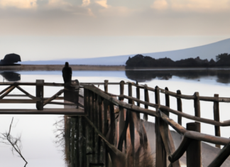 Un momento para reflexionar…