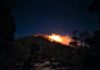 Los Incendios Forestales y los Héroes Anónimos… Los Bomberos.