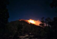 Los Incendios Forestales y los Héroes Anónimos… Los Bomberos.
