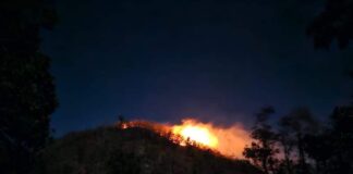 Los Incendios Forestales y los Héroes Anónimos… Los Bomberos.