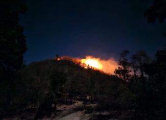 Los Incendios Forestales y los Héroes Anónimos… Los Bomberos.