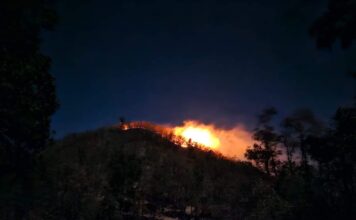 Los Incendios Forestales y los Héroes Anónimos… Los Bomberos.