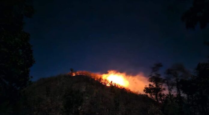 Los Incendios Forestales y los Héroes Anónimos… Los Bomberos.