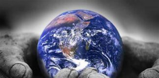 La Hipnótica Oda a Norman Borlaug: Un Héroe Anónimo de la Tierra* heroe anonimo de la tierra