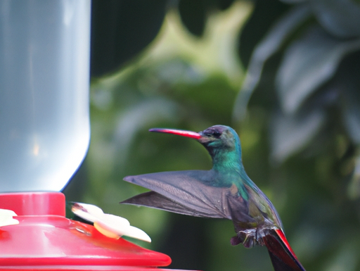 Breve cuento: “El brillo de la bondad; La increíble historia de Marthuchix, la colibrí generosa”.