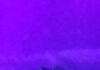 La Luz Ultravioleta y su Impacto en los Alacranes.