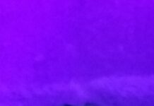 La Luz Ultravioleta y su Impacto en los Alacranes.