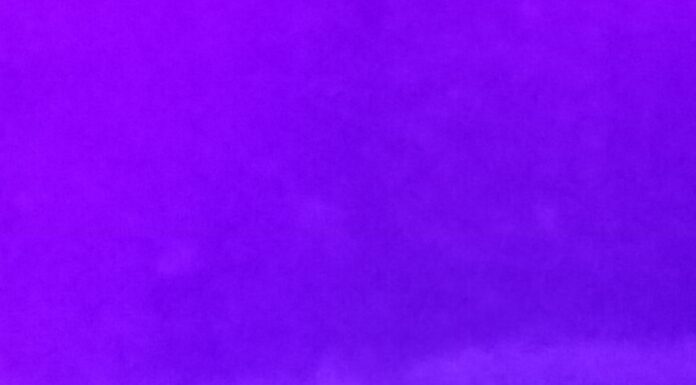 La Luz Ultravioleta y su Impacto en los Alacranes.