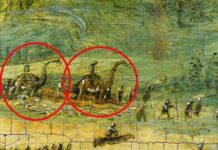Misterios del Renacimiento: La Pintura que Desafía la Historia: retratos de dinosaurios en 1562.