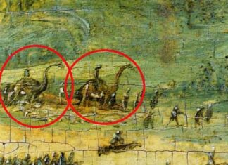 Misterios del Renacimiento: La Pintura que Desafía la Historia: retratos de dinosaurios en 1562.