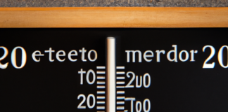 “La Danza del Calor: Explorando su Impacto en el Estado de Ánimo”