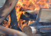 El Diálogo entre el Fuego y la Evolución.