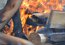 El Diálogo entre el Fuego y la Evolución.